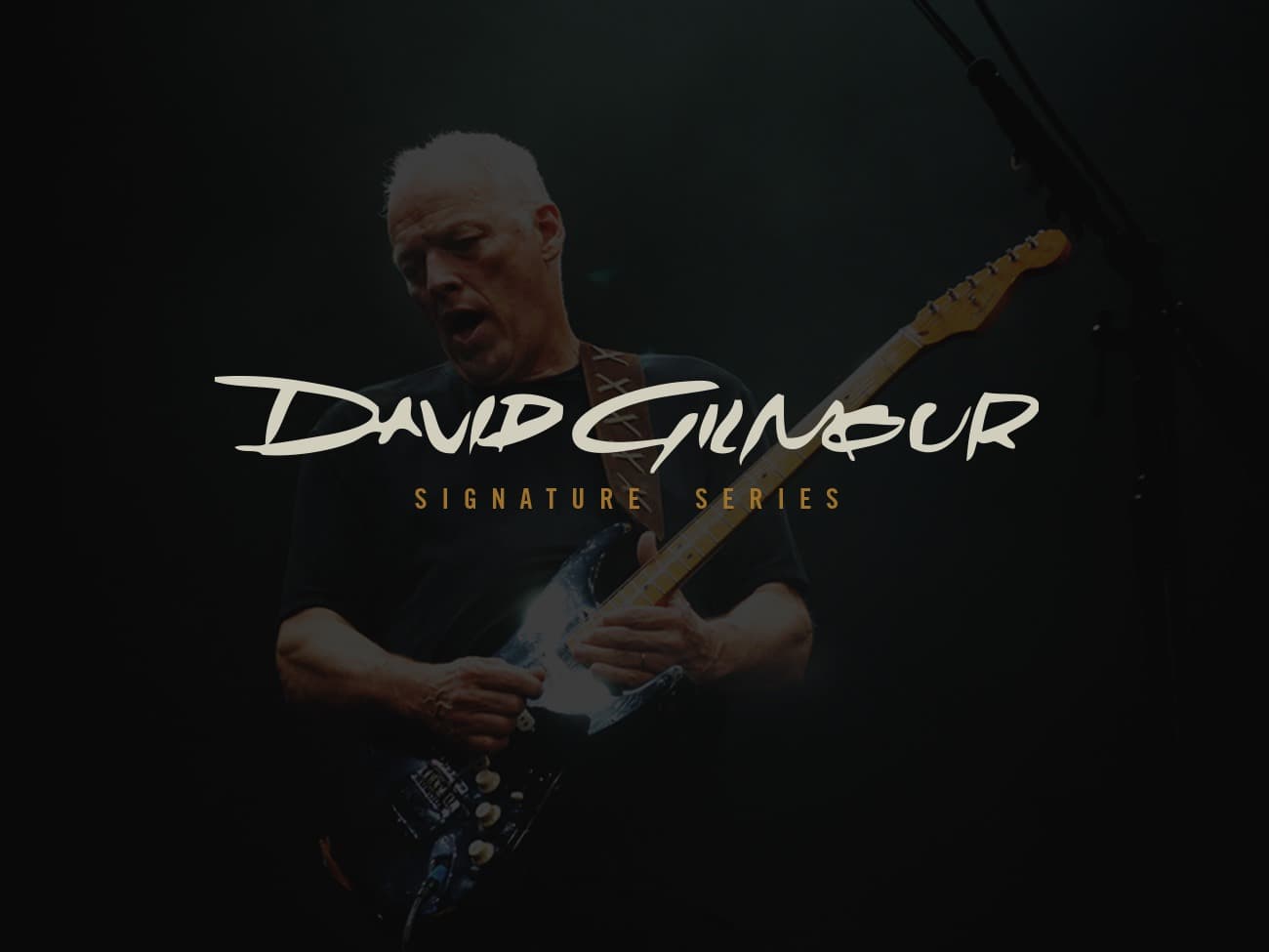 David Gilmour - Pink Floyd Branding and Website Design